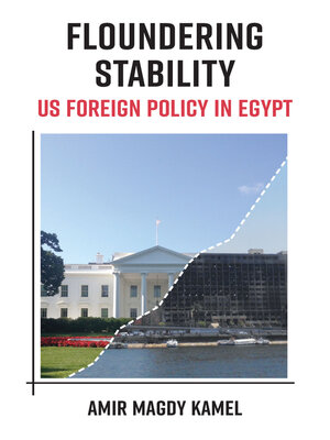 cover image of Floundering Stability
